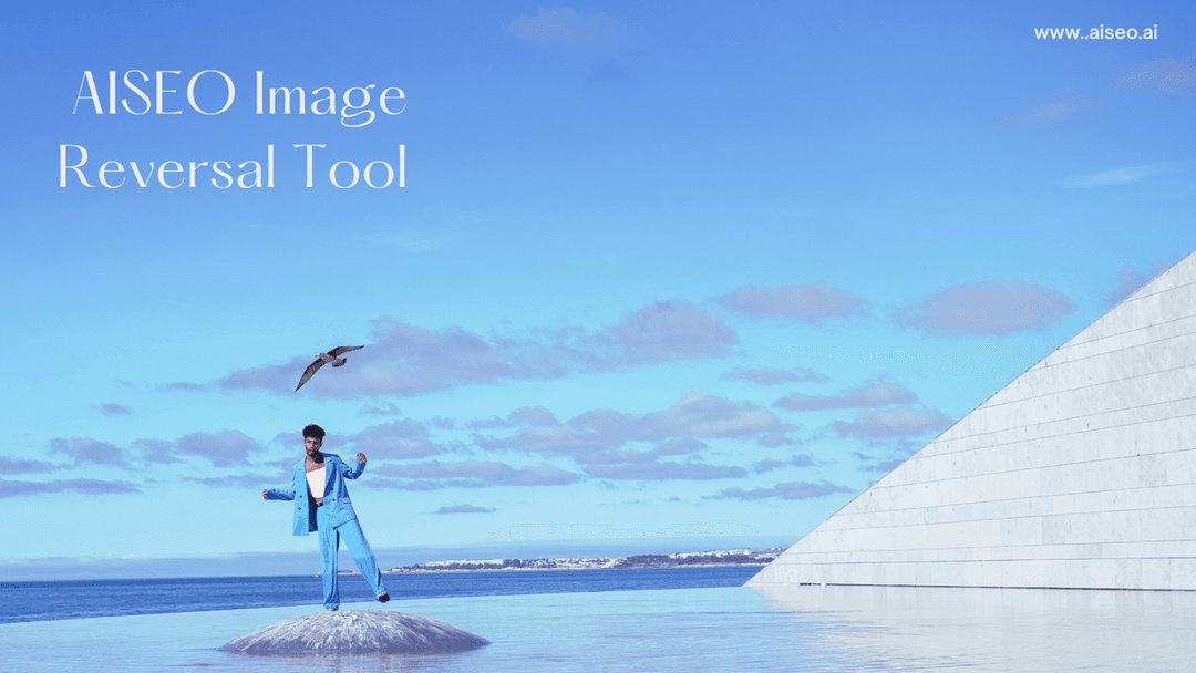 An introduction to Reverse image