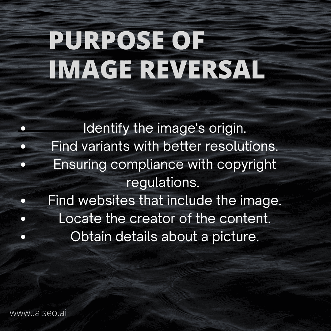 Identify any image with the AISEO image reversal tool