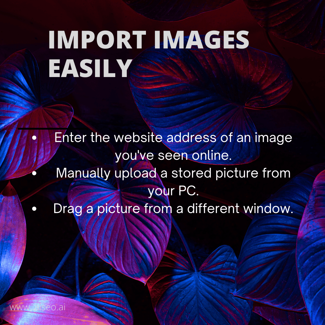 Protect your image with an image reverse tool