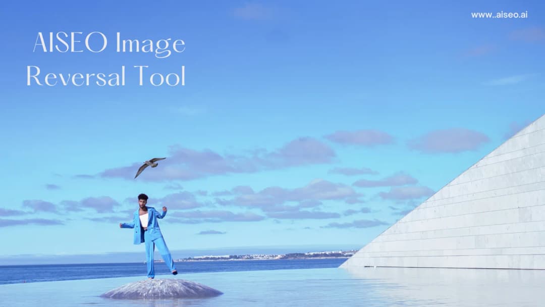 An introduction to Reverse image