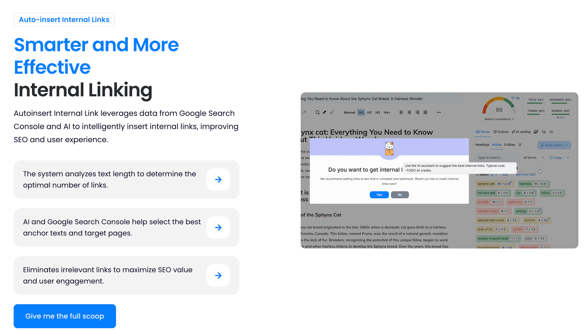 Content Scoring and Optimization