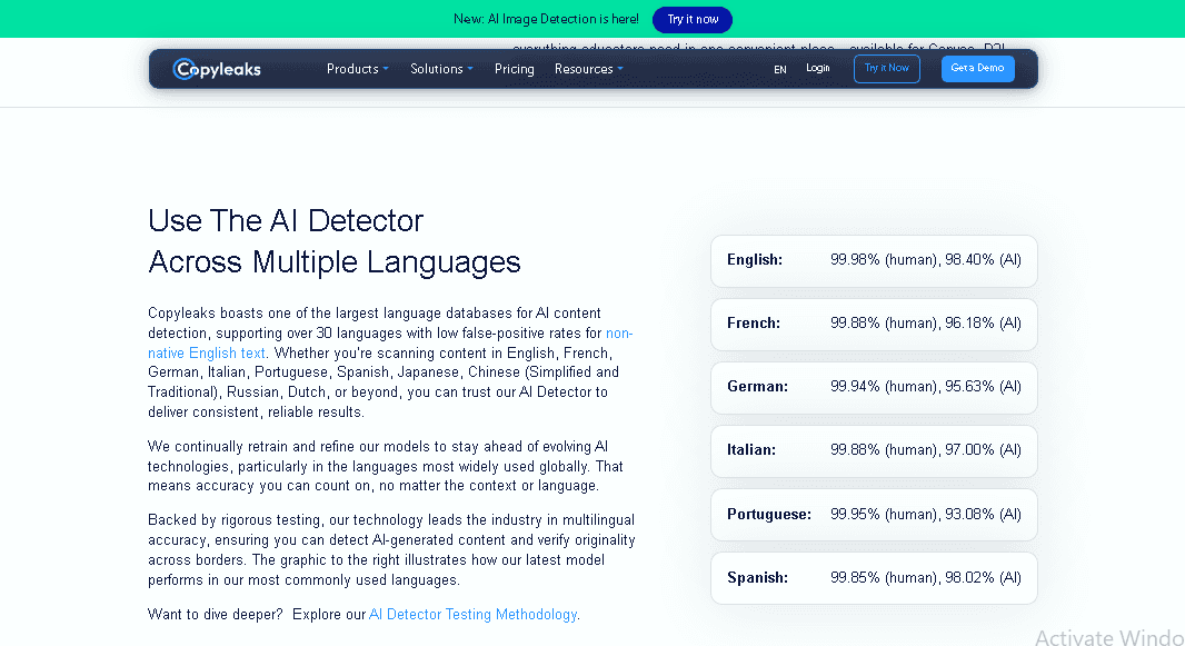 AI Detector Across Multiple Languages